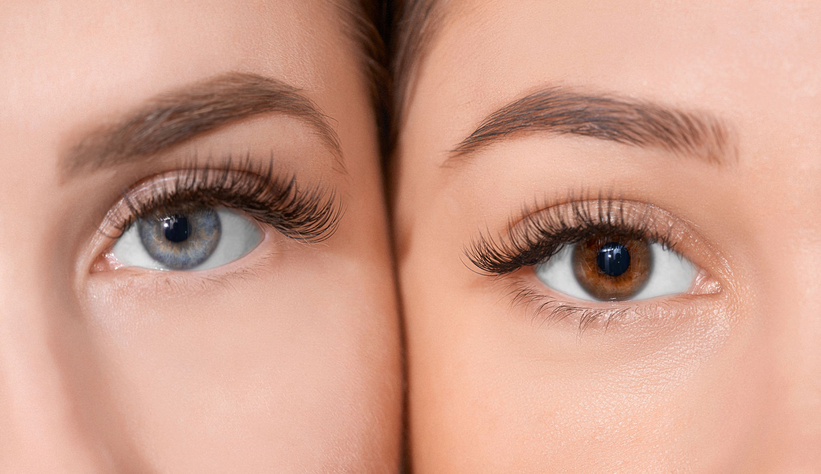 Powderbrows mit sanfter Puderschattierung